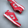 SB Dunk Low
