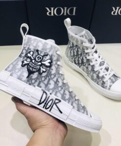 DIOR B23 High Top Sneaker