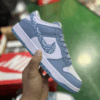 The Dunk shoe Paisley Pack