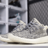 Adidas Yeezy Boost 350 V1