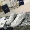 DIOR x KAWS co-brands the new 2021 early spring