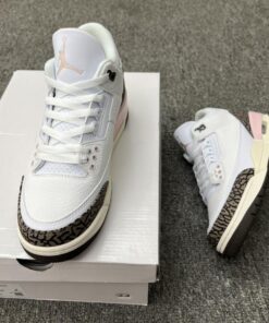Air Jordan 3 Neapolitan