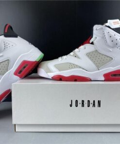 Air Jordan 6