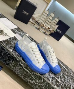 DIOR x KAWS co-brands the new 2021 early spring
