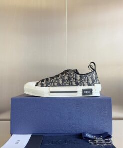 Dior B23 Low Top Sneaker