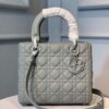 Christian Dior Lady Dior Bag 24cm Matte Hardware Lambskin Leather Spring/Summer Collection
