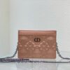 Christian Dior Caro Zipped Pouch With Chain Pink For Women 7.5in/19cm CD