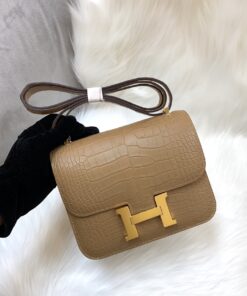 Hermes Constance 19 Alligator Crocodile Skin Light Brown Silver Hardware For Women