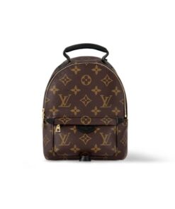 Louis Vuitton Palm Springs Mini Backpack For Women M44873- 8.7 Cm/ 22 Inches