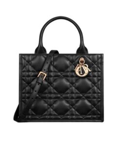 Christian Dior Small Dior Book Tote Bag Black For Women M1325OWHP_M900 - 26.5 Cm/ 10.5 Inches