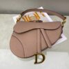Christian Dior Saddle Bag With Strap Gold Toned Hardware For Women 25.5cm/10in CD M0455CBAA_M50P