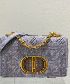 Christian Dior Medium Dior Caro Bag Gray For Women 25.5cm/10in CD