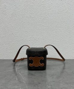 Celine Small Box Cuir Triomphe In Triomphe Canvas Tan For Women 4in/11cm 199262EIN.04LU