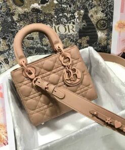 Christian Dior Smal Lady Dior My ABCDIOR Bag Brown For Women 8in/20cm CD