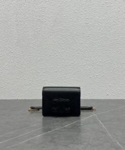 Celine Card Holder On Chain Triomphe Black For Women 4in/11cm 10J743DPV.38NO