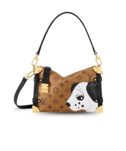 Louis Vuitton Side Trunk MM Bag Brown For Women M47202 21cm/8.3inch
