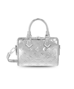 Louis Vuitton Speedy Bandoulière 20 Handbag Silver For Women 8.1in/20cm M11987