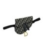 Dior Saddle Belt Bag Beige For Women 7.5in/ 20cm CD