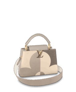 Louis Vuitton Capucines Bb Gray M59699