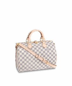 Louis Vuitton Alma Pm Damier Ebene N53151